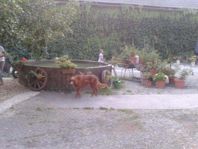 29_Rottenmann_traktor_lederhosen_078