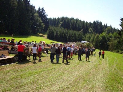 30_steyr_15_18_ottenschlag_004