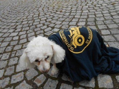 31_regen_deutschland_ott_028