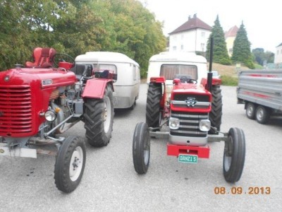 32_schoenfeld_197
