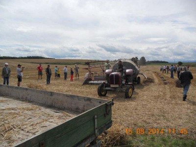 32_steyr_dietach_druschfest_ott_054