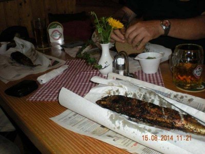 32_steyr_dietach_druschfest_ott_071