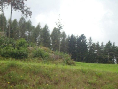 34_schoenbach_023