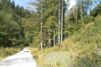38_ota_mariazell_almenland_015