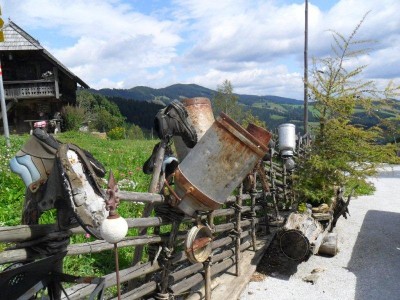 38_ota_mariazell_almenland_064