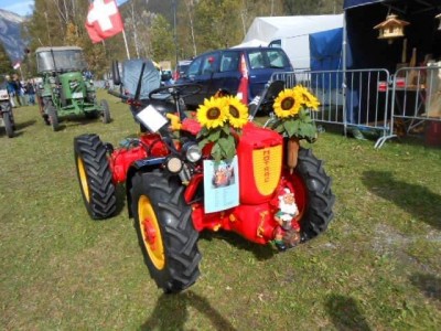 39_maurach_am_attersee_totf_016