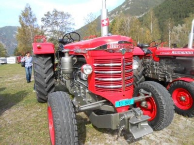39_maurach_am_attersee_totf_031