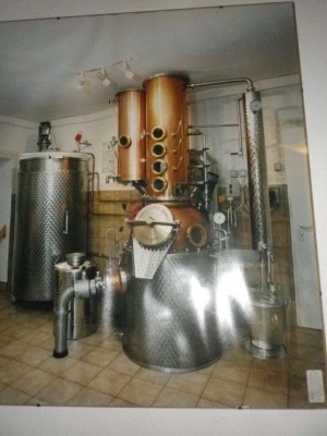 40_abschlussfahrt_ofsm_163
