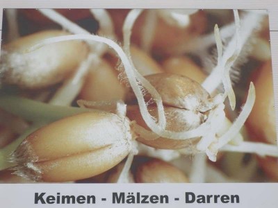 40_abschlussfahrt_ofsm_169