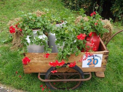 40_hanftal_026
