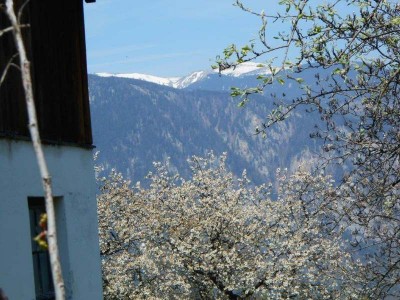 6_buchelbach_ott_004
