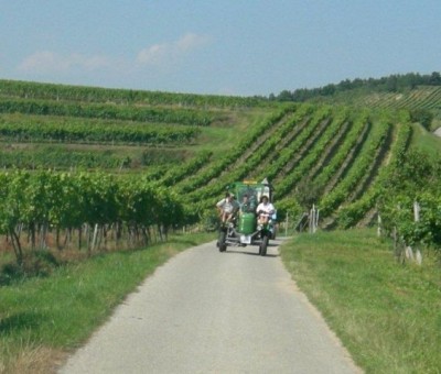 rehberg_027