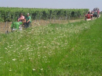 rehberg_028