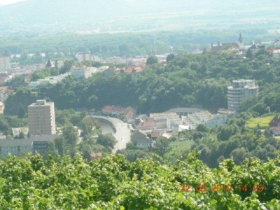 rehberg_032