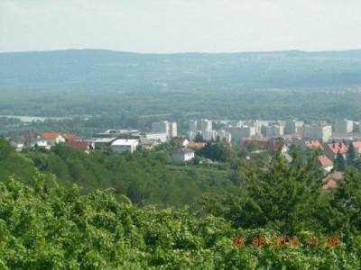rehberg_033