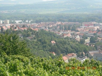 rehberg_034