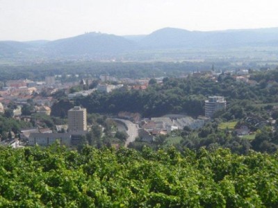 rehberg_035