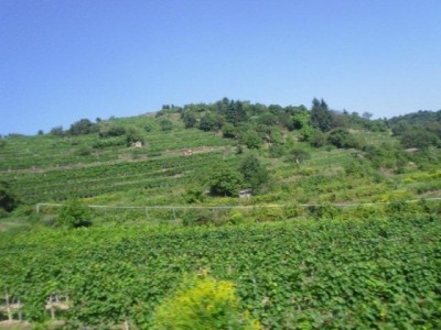 rehberg_037