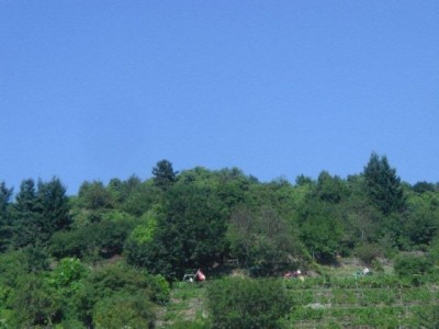 rehberg_038