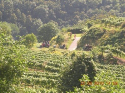 rehberg_039
