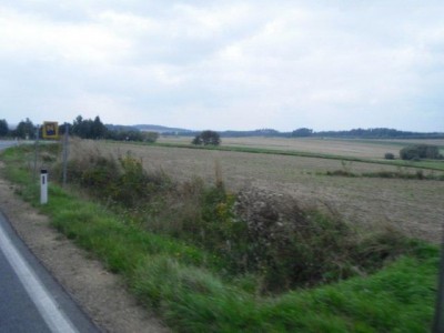 schoenfeld_016