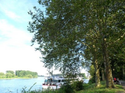 speyer_43