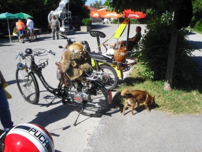 st_georgen_am_steinfeld_23