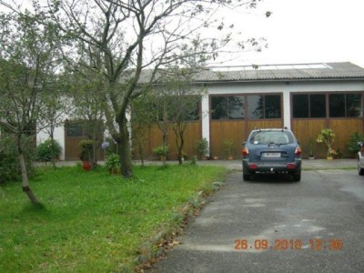 stangl_puch_bertll_014