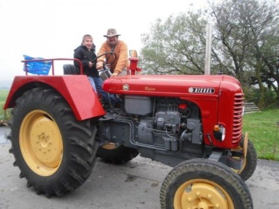 stangl_puch_bertll_029