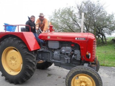 stangl_puch_bertll_030
