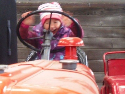 stangl_puch_bertll_044