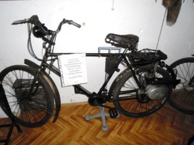 stangl_puch_bertll_082