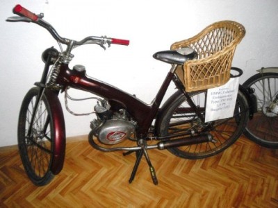 stangl_puch_bertll_084