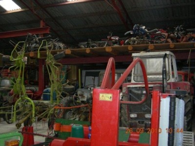 stangl_puch_bertll_094