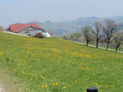 stift_ardagger_2010_8