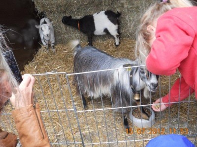 weistrach_vierkantfest_060