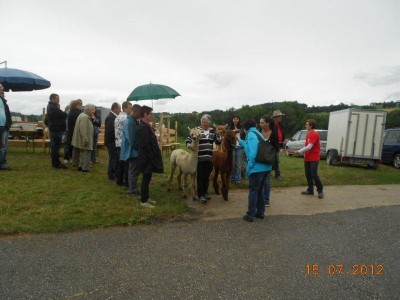 weistrach_vierkantfest_080