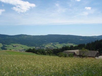 ysper_046